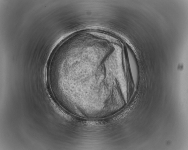 X0000096981032200802291141