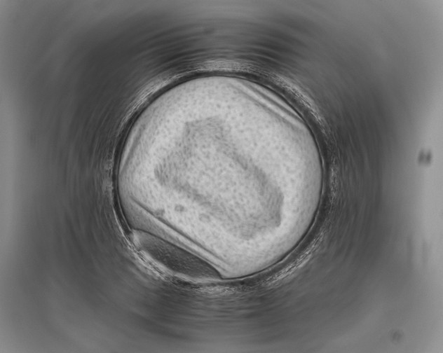 X0000096981033200802291141