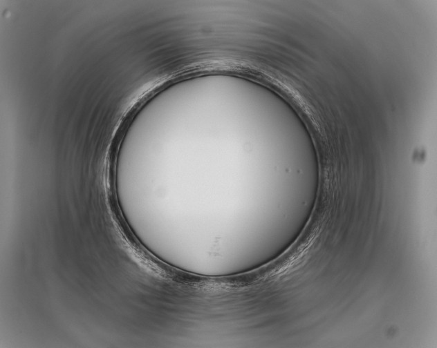 X0000096981034200802291141