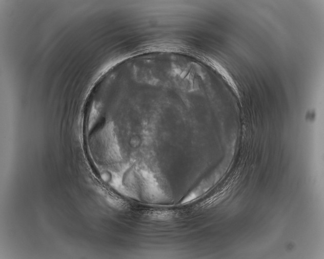 X0000096981035200802291141