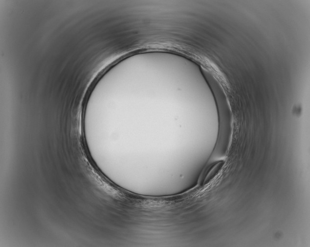 X0000096981036200802291141