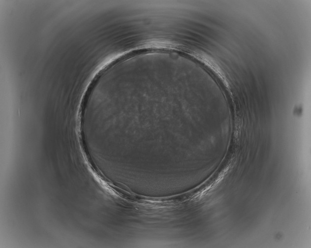 X0000096981037200802291141