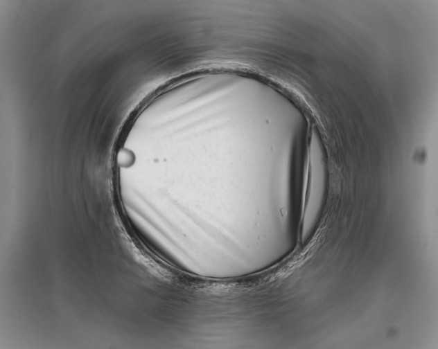 X0000096981038200802291141