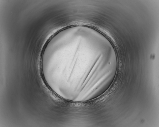 X0000096981040200802291141