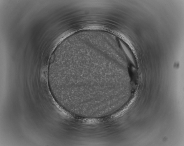 X0000096981041200802291141