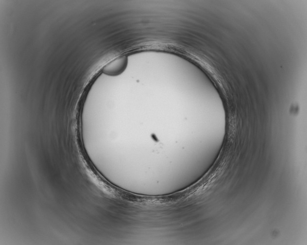 X0000096981042200802291141