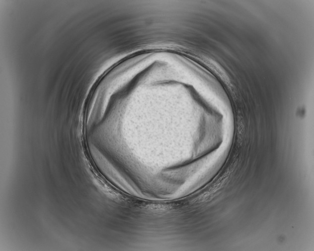 X0000096981044200802291141