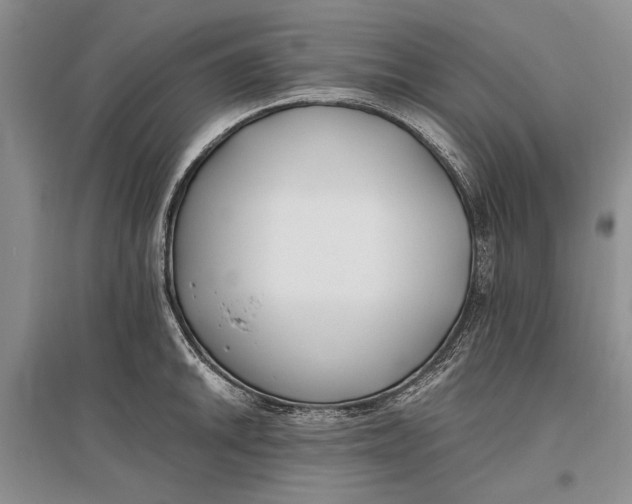 X0000096981046200802291141