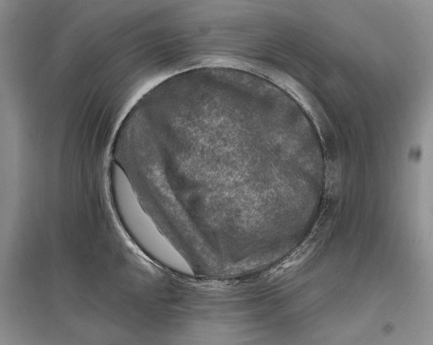 X0000096981048200802291141