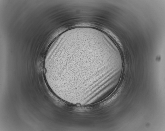 X0000096981049200802291141