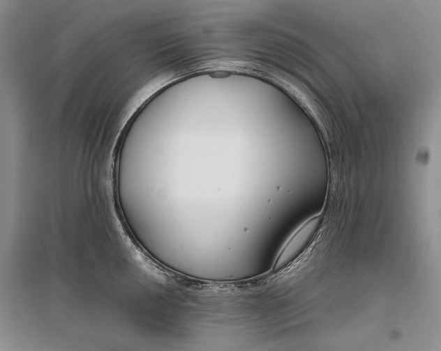 X0000096981050200802291141