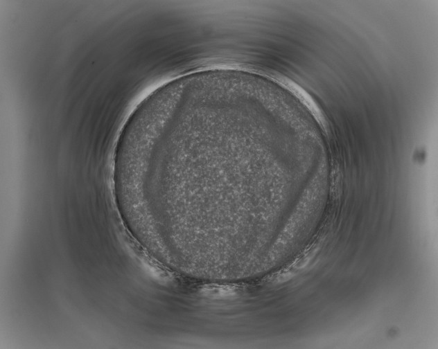 X0000096981051200802291141