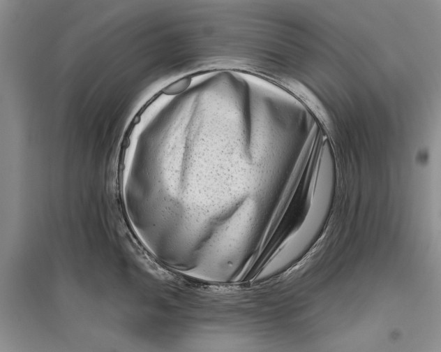 X0000096981052200802291141