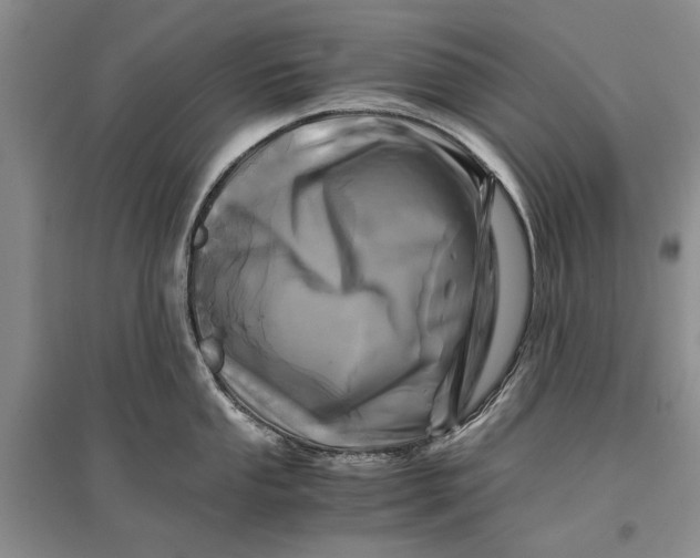 X0000096981053200802291141