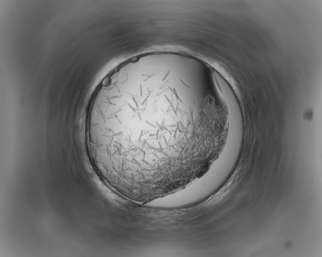 X0000096981054200802291141