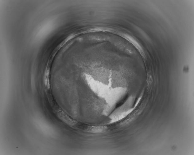 X0000096981055200802291141