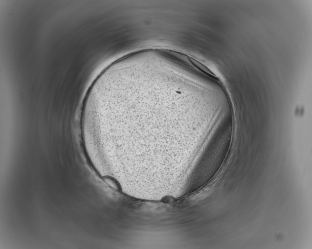 X0000096981056200802291141