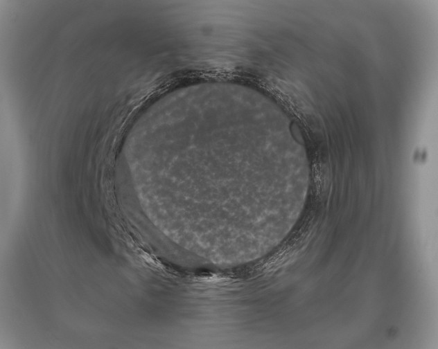 X0000096981057200802291140