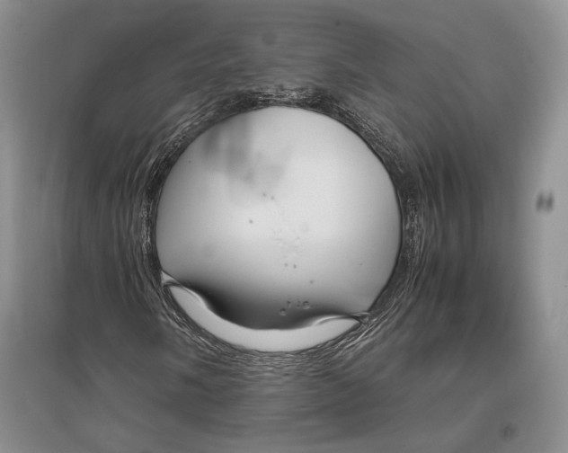 X0000096981058200802291140