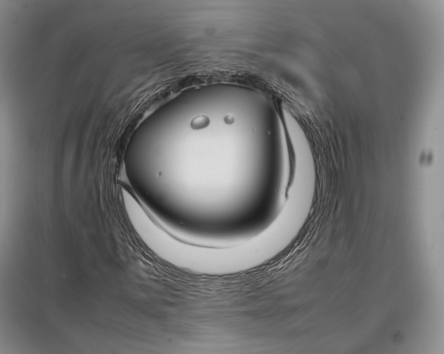 X0000096981059200802291140