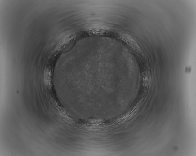 X0000096981060200802291140