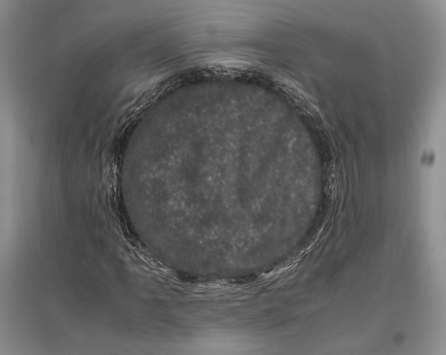 X0000096981061200802291140