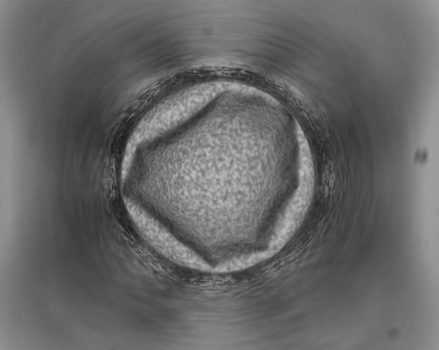 X0000096981062200802291140