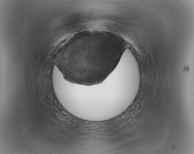 X0000096981063200802291140