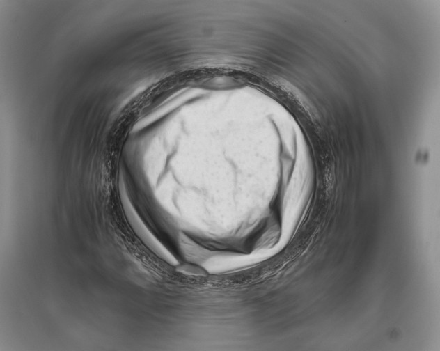 X0000096981064200802291140