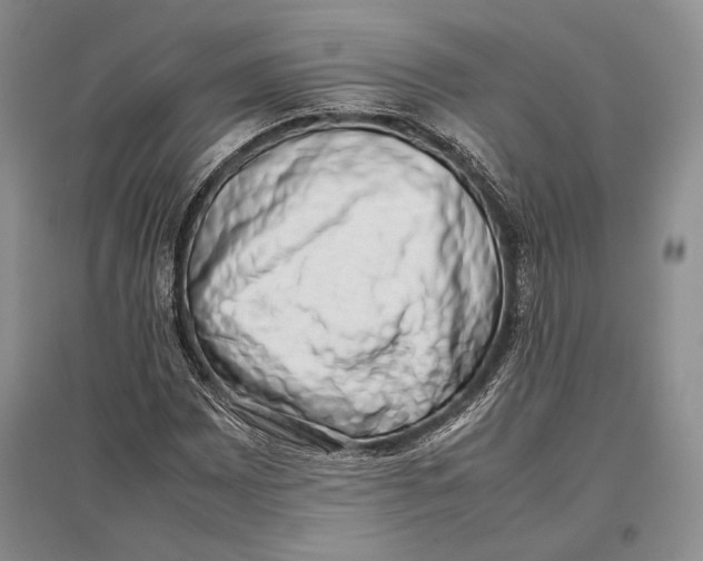 X0000096981065200802291140