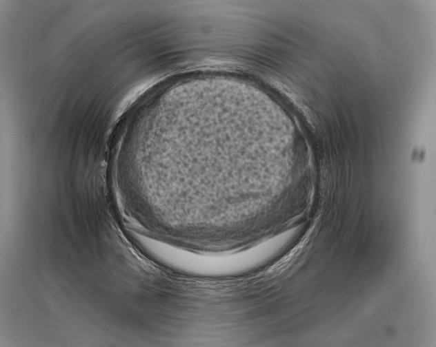 X0000096981066200802291140