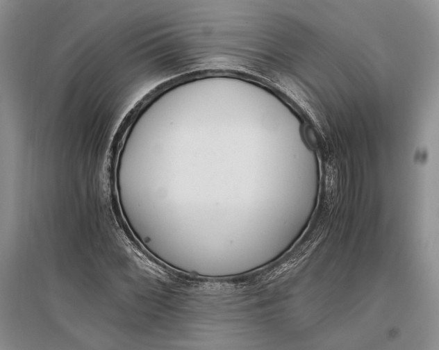 X0000096981068200802291140