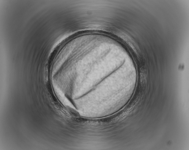 X0000096981069200802291140