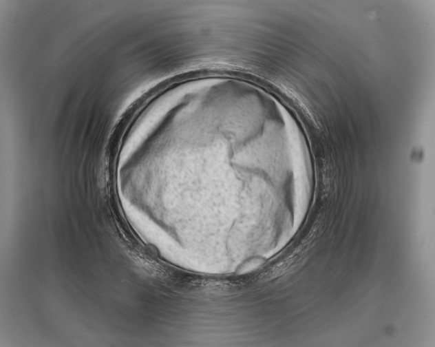 X0000096981070200802291140