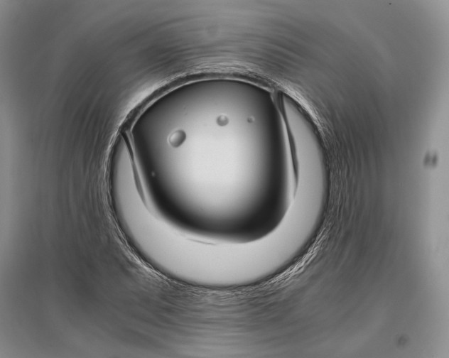 X0000096981071200802291140