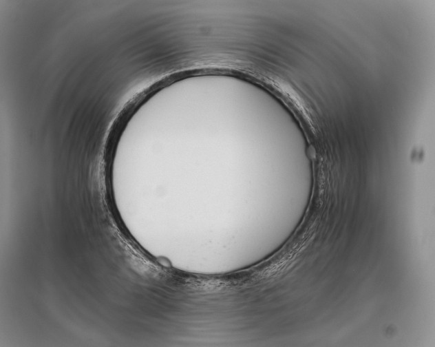 X0000096981072200802291140