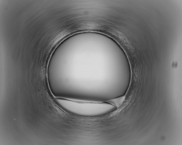 X0000096981073200802291140