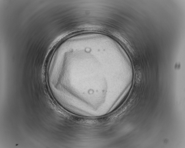 X0000096981074200802291140