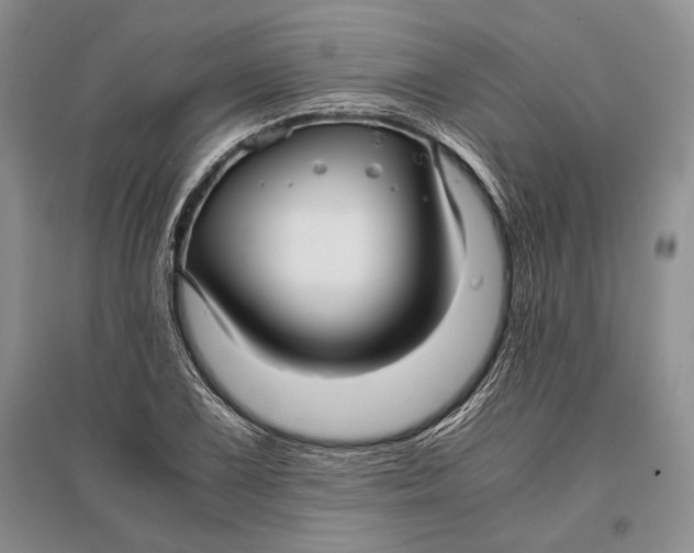 X0000096981075200802291140