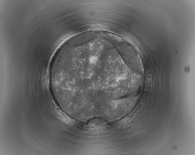 X0000096981076200802291140