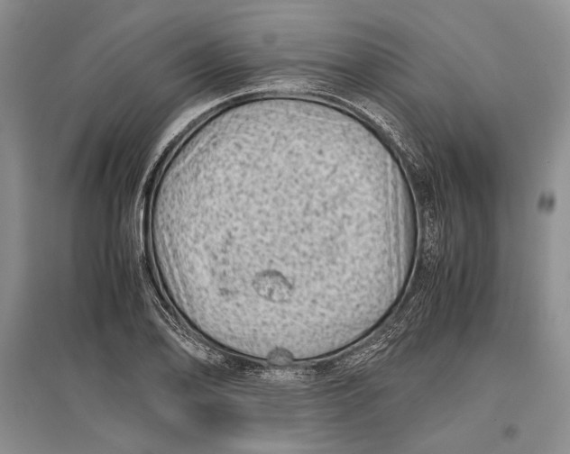 X0000096981078200802291140