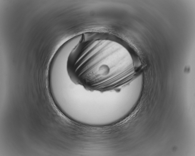 X0000096981079200802291140