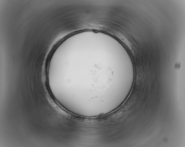 X0000096981080200802291140