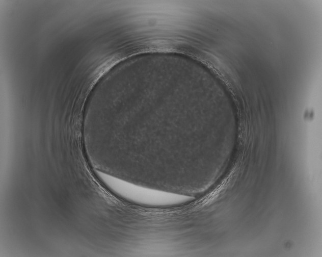 X0000096981081200802291140