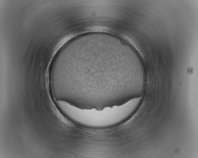 X0000096981082200802291140