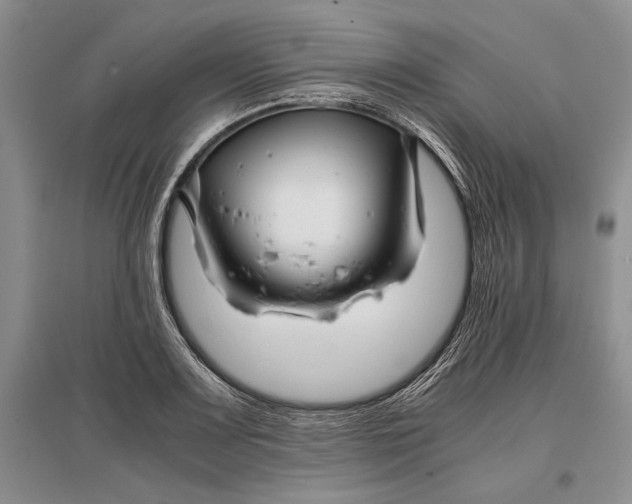 X0000096981083200802291140