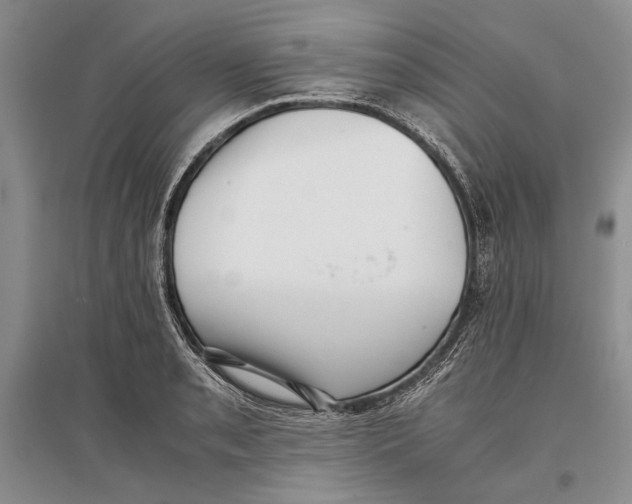 X0000096981085200802291140