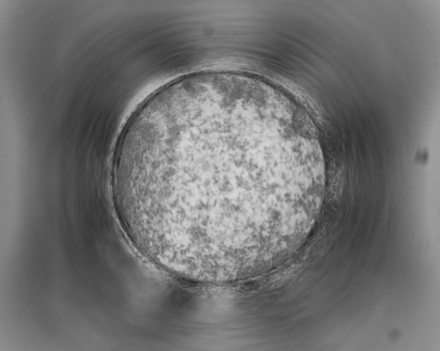 X0000096981086200802291140