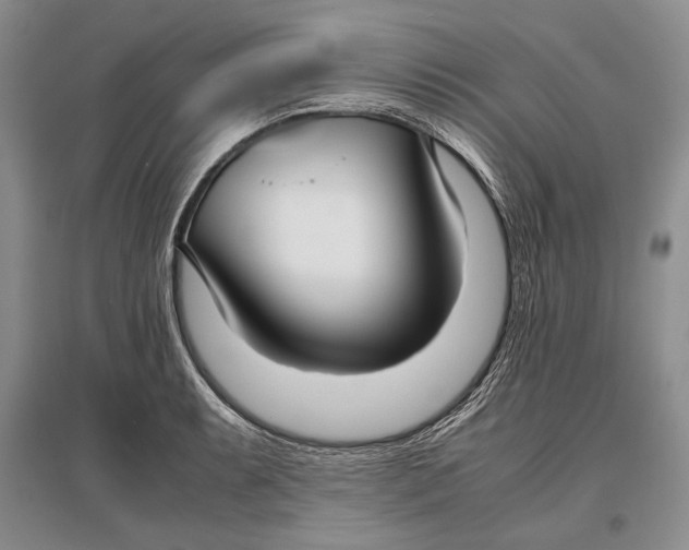 X0000096981087200802291140