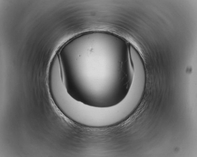 X0000096981088200802291140